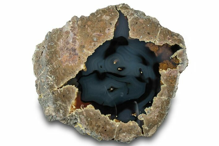 Polished Friend Ranch Thunderegg Half - Oregon #315273